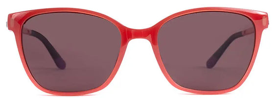 Genesis New art Glasses Limited