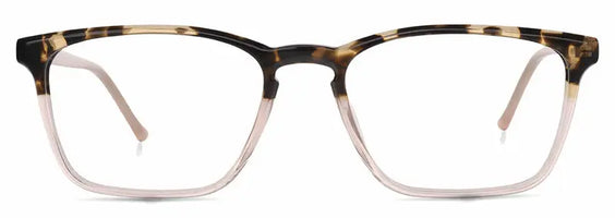 Sarah New art Glasses Limited
