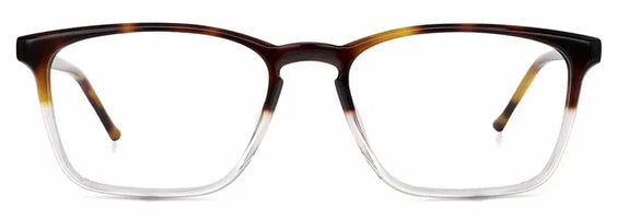 Sarah New art Glasses Limited