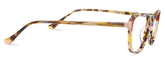 Bailey New art Glasses Limited