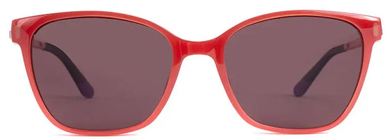 Genesis New art Glasses Limited