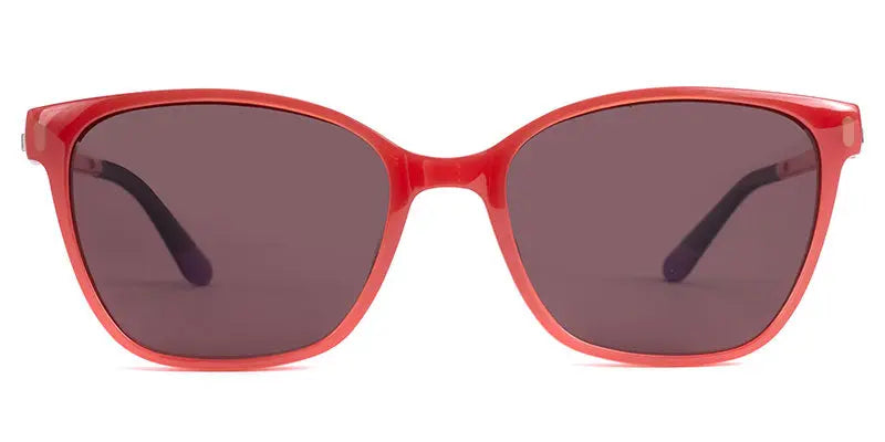 Genesis New art Glasses Limited