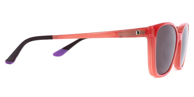 Genesis New art Glasses Limited