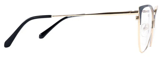 Eva New art Glasses Limited