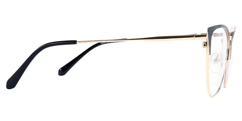 Eva New art Glasses Limited