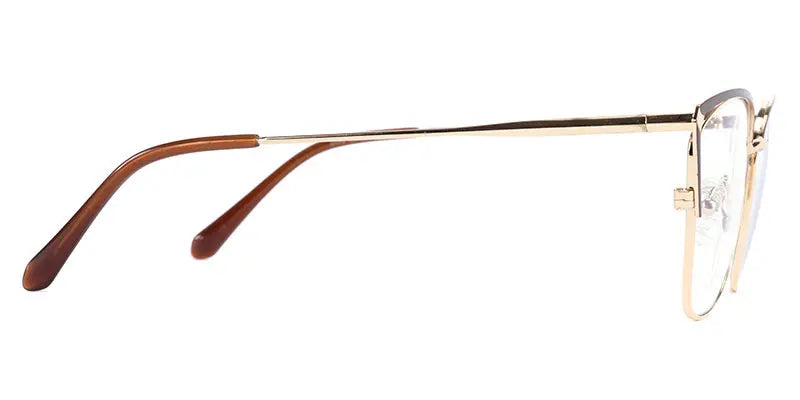 Aurora New art Glasses Limited