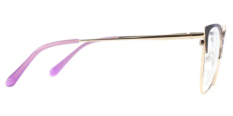 Eva New art Glasses Limited