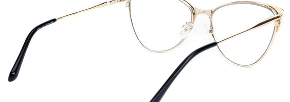 Eva New art Glasses Limited