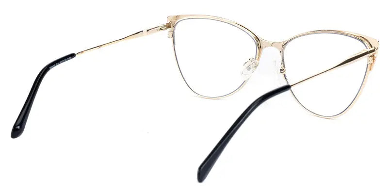 Eva New art Glasses Limited