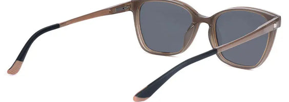Genesis New art Glasses Limited